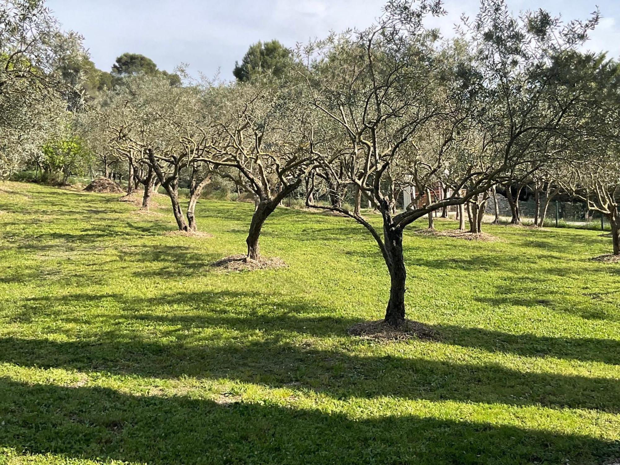 Mas La Floreline Cheval-Blanc Buitenkant foto